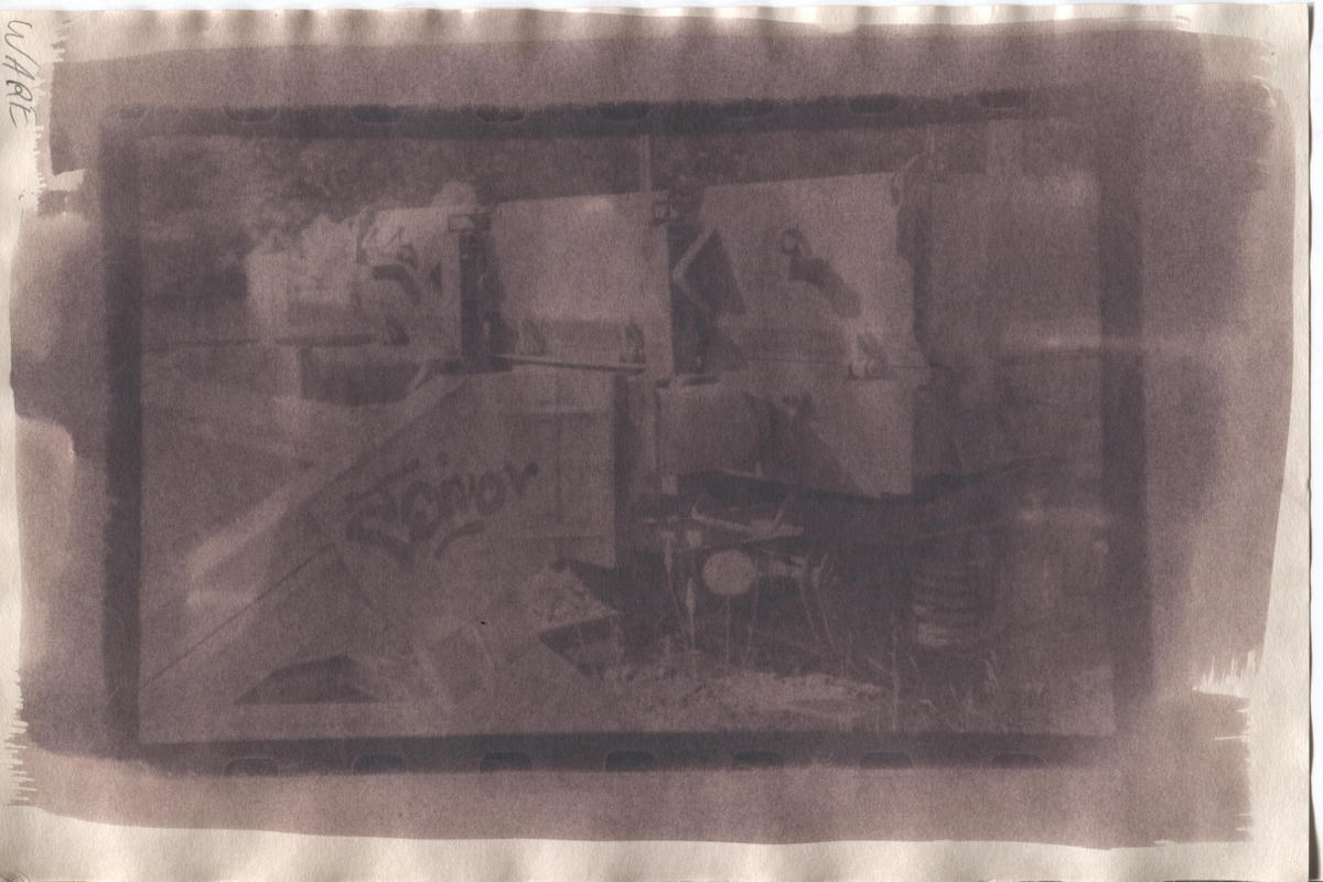 Toned New Cyanotype Toned New Cyanotype